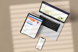 mockup site internet martinique