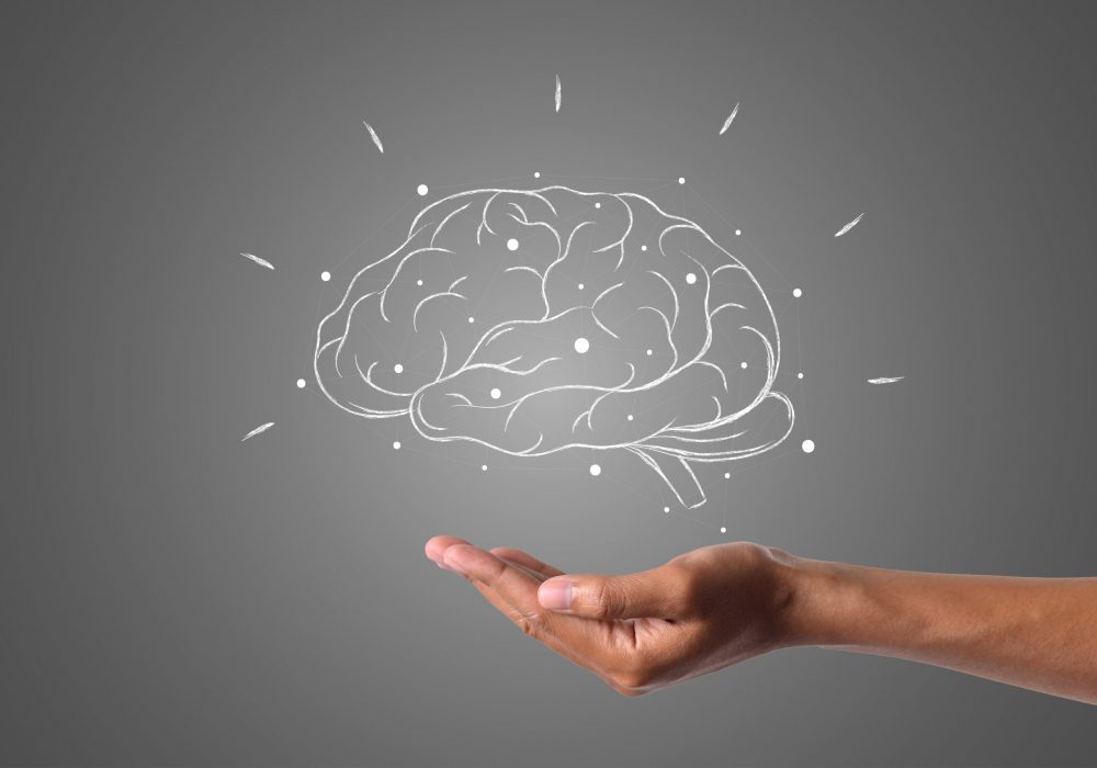 cerveau ecrit craie blanche est portee main dessinez concept cerveau ecrit craie blanche est portee main dessinez concept